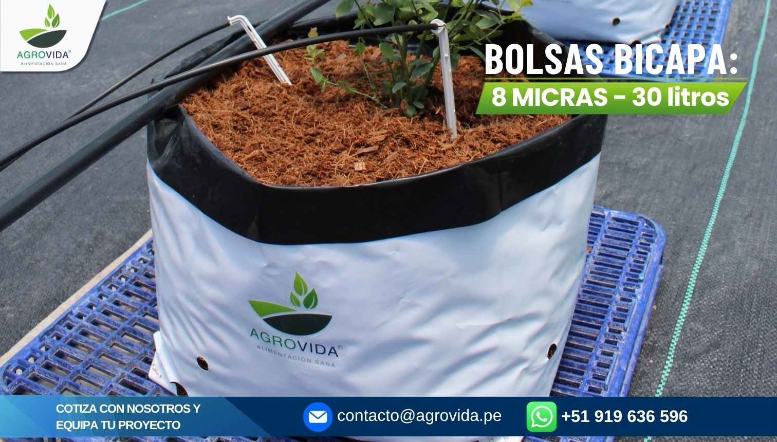 Bolsas bicapa foto 1